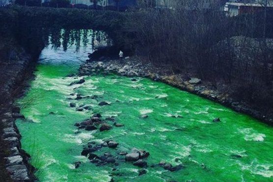В Іспанії річка стала яскраво-зеленою