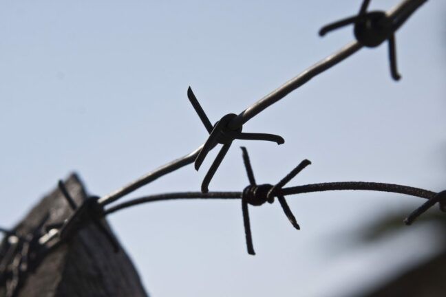 Ув’язненим пропонують воювати на Донбасі в обмін на звільнення – розвідка