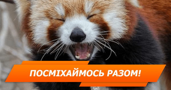 10 фото, которые заставят вас смеяться