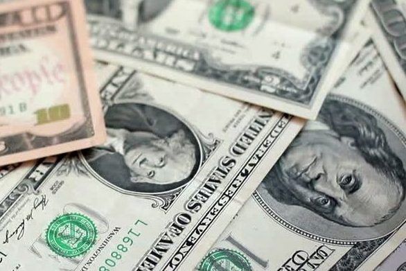 Экономист: Доллар может стоить 25 грн, но есть условие