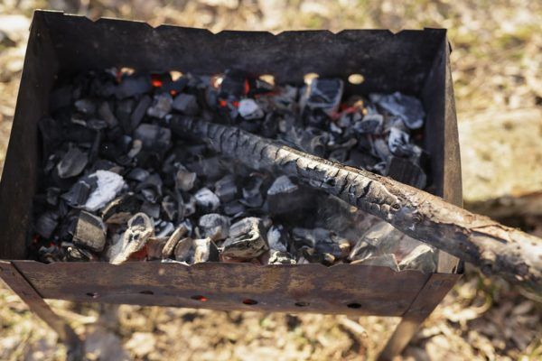 Як вибрати вугілля для шашлику в магазині Фото 2