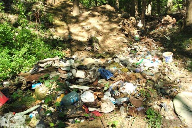 На Волині гектар лісу засипали сміттям