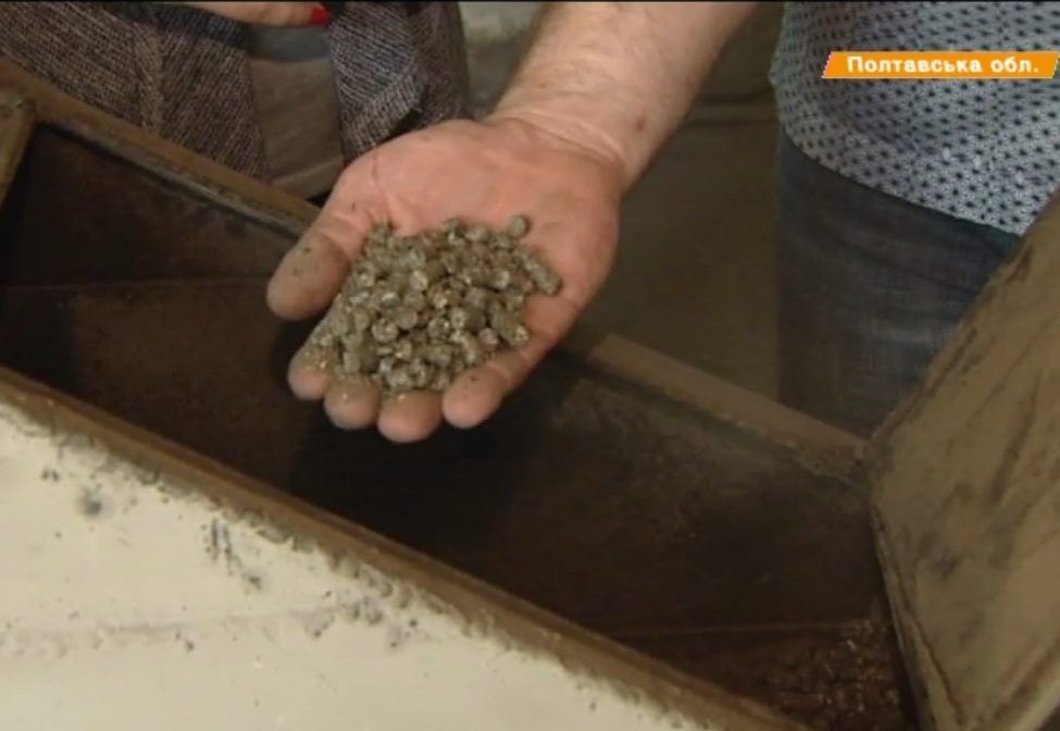 Подсолнечник вместо газа: больше энергии и экономия в 100 тыс. грн. за сезон