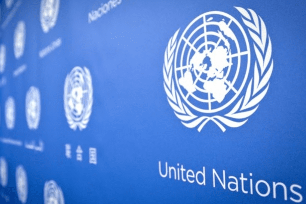 ПРООН должна ответить за растрату 15 млн грн из украинского бюджета ПРООН