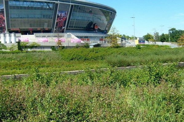 Бур’яни та пустир: як вмирає Донбас Арена