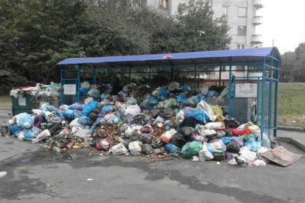 Діти хворіють, а худоба гине. Гори сміття під Львовом почнуть розгребати у серпні