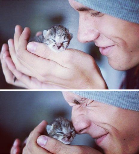 Милые и пушистые: сексуальные парни с котятами в Instagram Фото 1