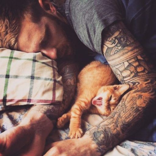 Милые и пушистые: сексуальные парни с котятами в Instagram Фото 2