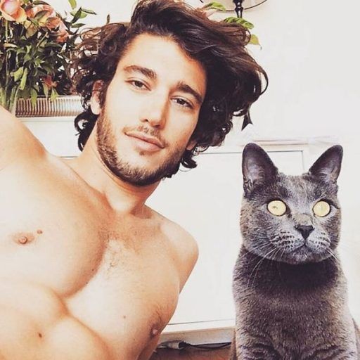 Милые и пушистые: сексуальные парни с котятами в Instagram Фото 11