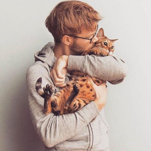 Милые и пушистые: сексуальные парни с котятами в Instagram Фото 12