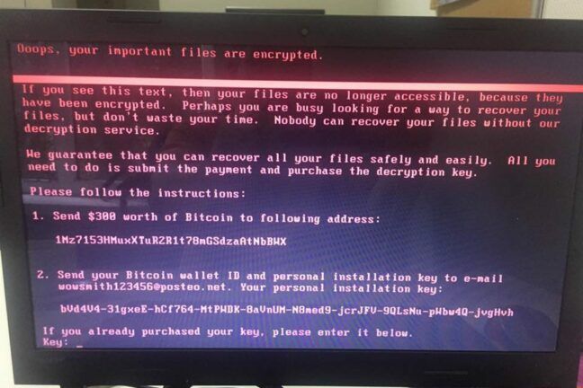 Информацию после атаки вируса Petya можно восстановить