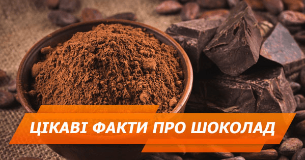 Что полезного в шоколаде и как выбрать качественный продукт