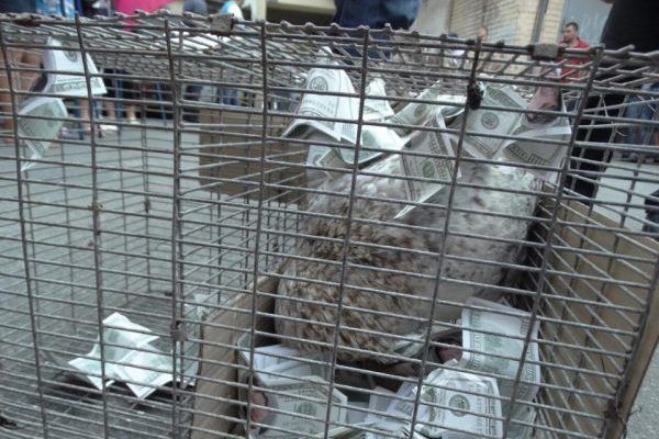 Нардепу кинули в голову клітку з півнем