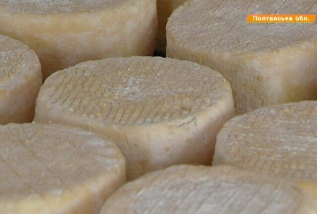 Як з нуля створити сирний бізнес