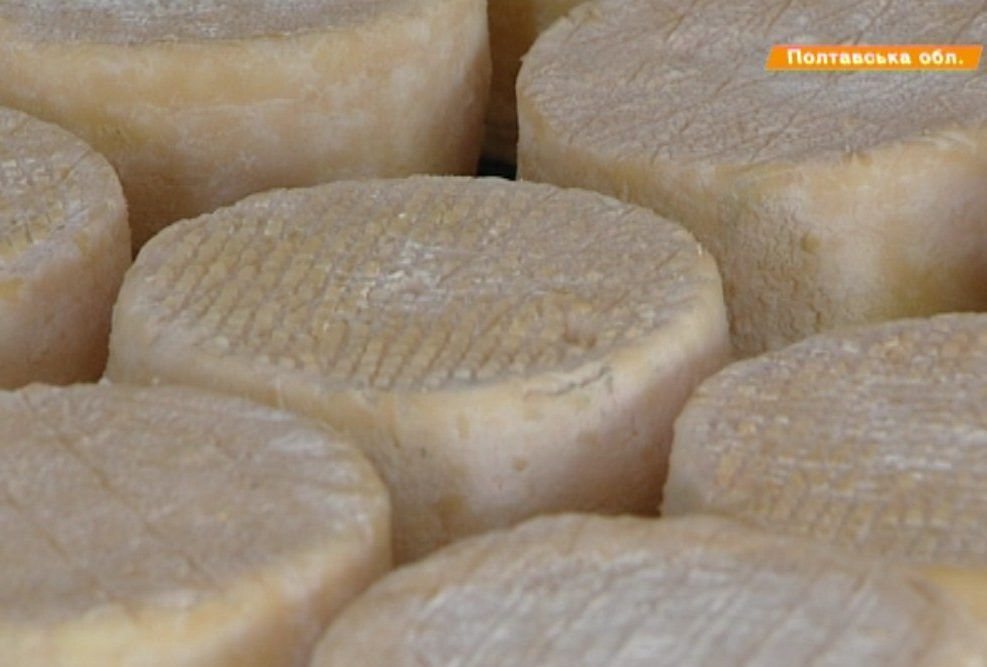 Як з нуля створити сирний бізнес
