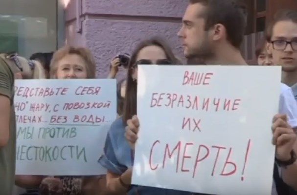 Чи реально захистити тварин від знущань