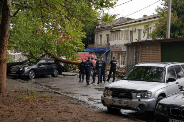 Повалені дерева і розтрощені будинки