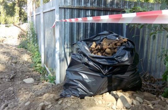 У Івано-Франківську знайшли останки 50 осіб раскопки в ивано-франковске