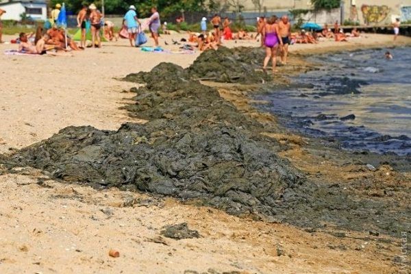 Сморід і грязюка: пляж на Одещині перетворився на болото