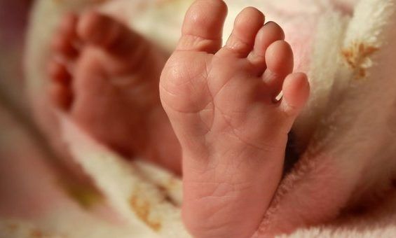 У Бельгії мати засмажила 2-річну доньку на грилі вбивство дитини