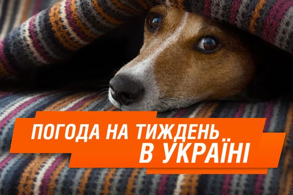 Погода на неделю: что принесет начало зимы (КАРТА)