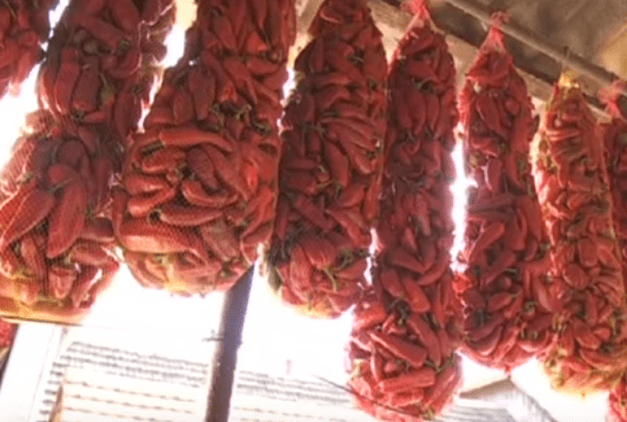 Як зробити бізнес на паприці. На Закарпатті з цього живе ціле село