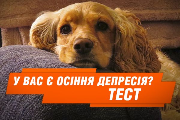 Накрила хандра? Як розпізнати депресію і чи можна від неї позбавитися