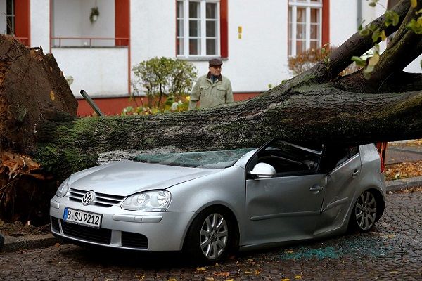 Вирвані дерева і потоп: ураган Герварт у Німеччині