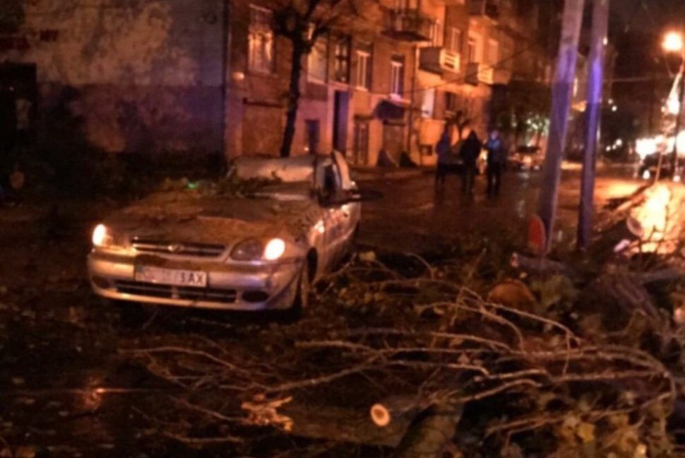 Буревій у Чернівцях відключив світло та повалив дерева. Рейс до Києва скасовано