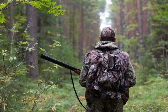 Охотничий сезон в разгаре: сколько стоит охота и какие штрафы