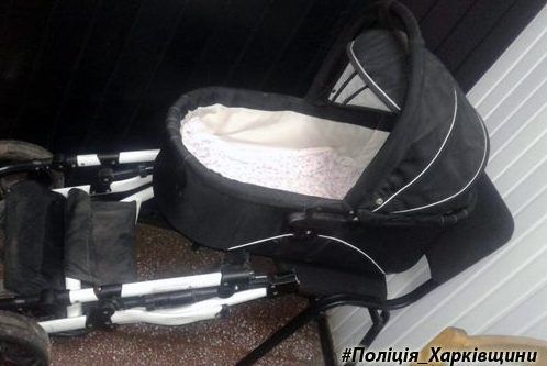 На Харьковщине кошка задушила младенца Коляска