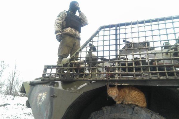 Глаза кота, который служит в ДШВ