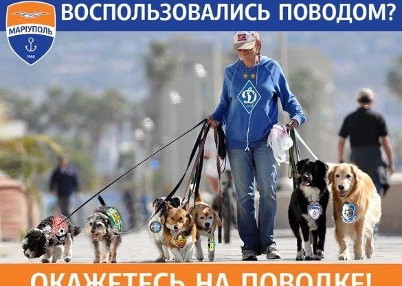 Загнали собаку в будку