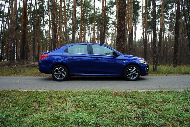 Тест-драйв Citroеn C-Elysee: бюджетно и со вкусом Фото 19