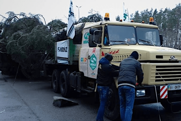 Головна ялинка України застрягла під Києвом Ялинка