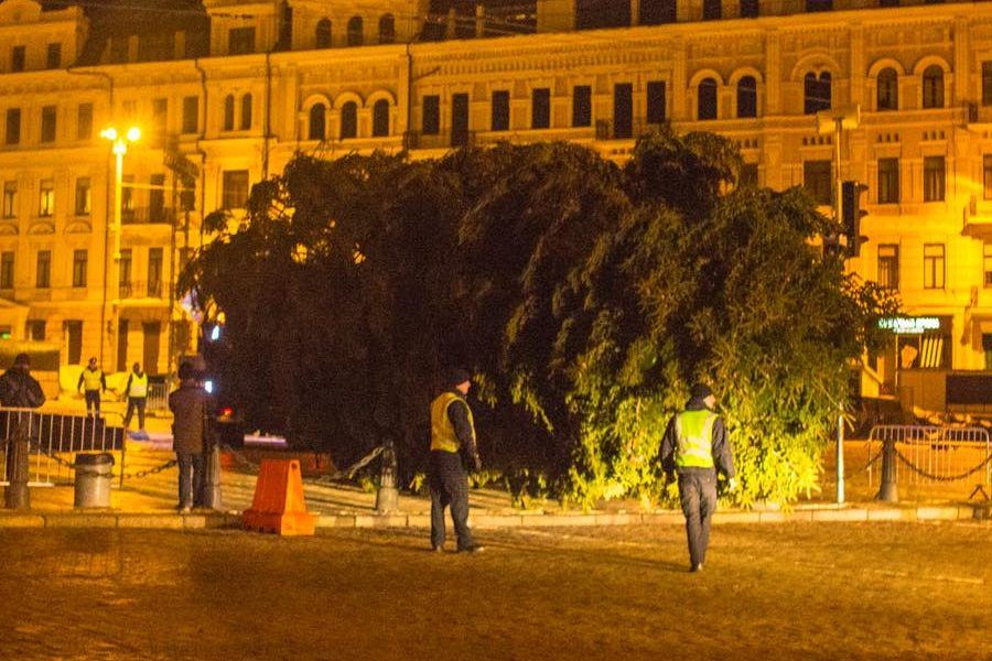 В Киеве начали установку главной елки Украины Головна ялинка України