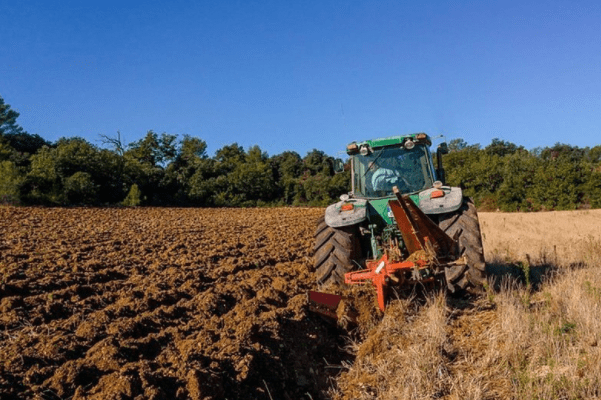 В Украине не будут продавать сельхозземли до 2019 года Ринок землі