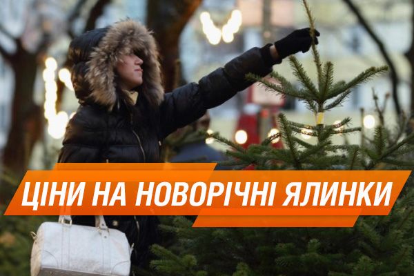 Ціни на новорічні ялинки 2018: живі, штучні, в горщиках