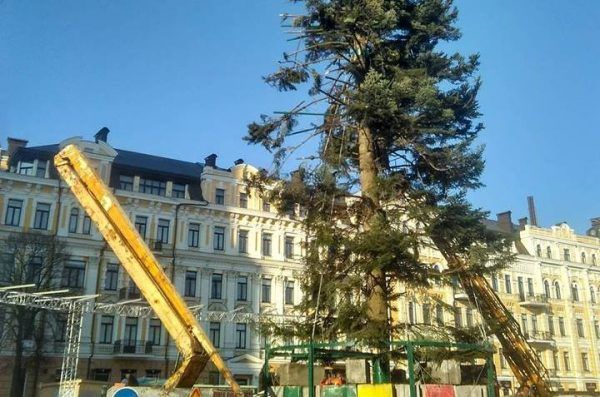 Лысая главная елка Украины в центре Киева главная елка украины