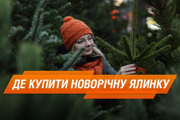 Елочные базары в Киеве: когда откроются и адреса