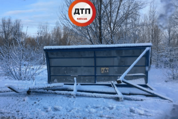 В Киеве снег