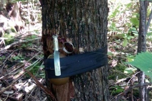 На Донбассе мужчина подорвался на растяжке Растяжка
