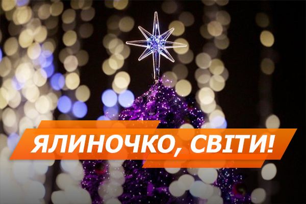 Самая высокая и самая дорогая: 15 главных елок Украины 2017