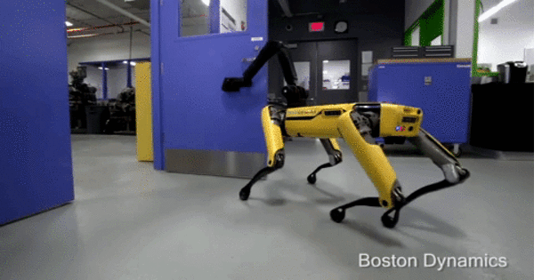 Boston Dynamics запустить продаж роботів-собак у 2019 році