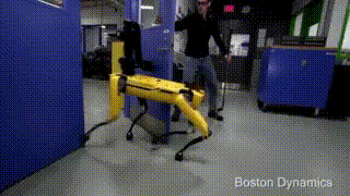 Не уйдешь: Boston Dynamics поиздевалась над роботом-собакой