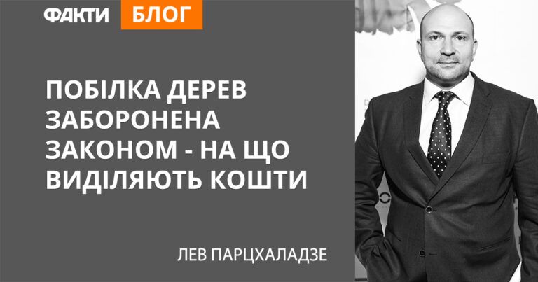 Побелка деревьев запрещена законом – на что выделяются денежные средства