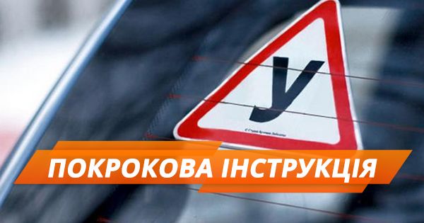 Как получить водительское удостоверение впервые (ИНФОГРАФИКА)