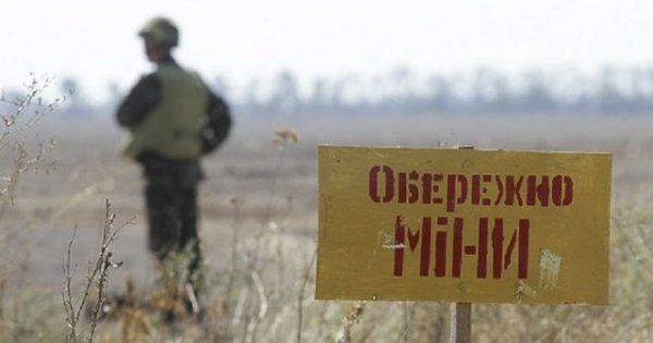 Саперні афери: скільки насправді коштує розмінування Донбасу розмінування міни