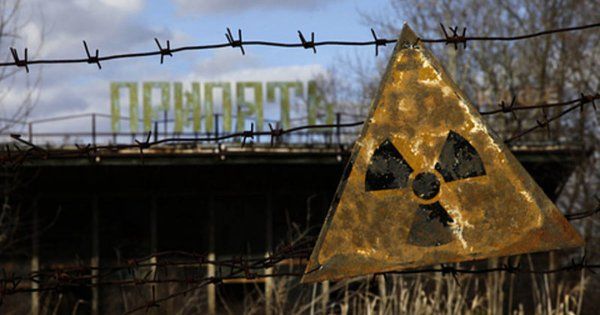 Чорнобиль сьогодні: що японські вчені шукають у зоні відчуження чорнобиль