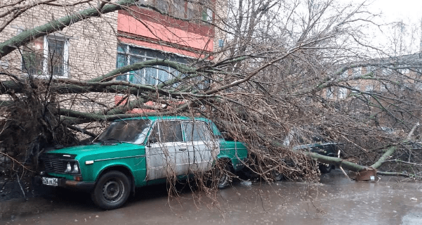 Ураган в Москве: среди жертв есть ребенок